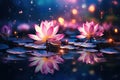 beautiful pink lotus flowers reflecting in the water, on dark blue bokeh background Royalty Free Stock Photo