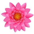 Beautiful pink lotus or waterlily flower isolated. Royalty Free Stock Photo
