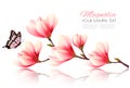 Beautiful pink magnolia background with butterfly. Royalty Free Stock Photo