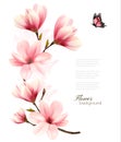 Beautiful pink magnolia background.