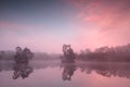 Beautiful pink misty sunrise over wild lake