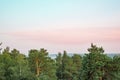 Beautiful pink morning over pine forest Royalty Free Stock Photo