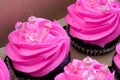 Beautiful Pink Muffin, Miniature Baby Bottles and Soothers for Baby Girl