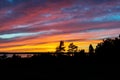 Beautiful pink and orange sky with silhouettes of trees