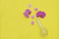 Beautiful Pink Orchid Flower Glass Vase Isolated on Yellow Background Copy Space Royalty Free Stock Photo