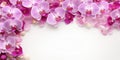 Beautiful Pink Orchids Border for Greeting Card or Lovely Flower Frame