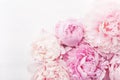 Beautiful pink peony flower background Royalty Free Stock Photo