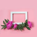 Beautiful pink peony flower and white frame for text on punchy pastel pink. Copy space. Top view. Flat lay. Royalty Free Stock Photo