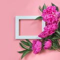 Beautiful pink peony flower and white frame for text on punchy pastel pink. Copy space. Top view. Flat lay. Royalty Free Stock Photo