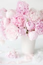 Beautiful pink peony flowers bouquet in vase Royalty Free Stock Photo