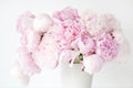 Beautiful pink peony flowers bouquet in vase Royalty Free Stock Photo