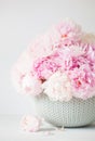 Beautiful pink peony flowers bouquet in vase Royalty Free Stock Photo