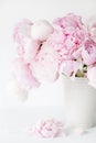 Beautiful pink peony flowers bouquet in vase Royalty Free Stock Photo