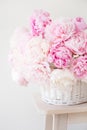 Beautiful pink peony flowers bouquet in vase Royalty Free Stock Photo