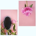 Beautiful pink peony flowers and haircomb on a pink background. Photo set Royalty Free Stock Photo