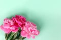 Beautiful pink peony flowers on light green background. Flat lay, top view, copy space Royalty Free Stock Photo