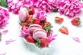 Beautiful Pink Peony flowers sweet strawberry and macaron cookies dessert, on a white background. Banner, flyer, beautiful Royalty Free Stock Photo