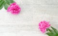 Beautiful pink peony flowers on white table with copy space for your text. top view and flat lay romantic concept. Royalty Free Stock Photo