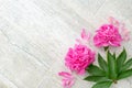 Beautiful pink peony flowers on white table with copy space for your text. top view and flat lay romantic concept. Royalty Free Stock Photo