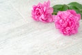 Beautiful pink peony flowers on white table with copy space for your text. top view and flat lay romantic concept. Royalty Free Stock Photo