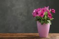 Beautiful pink petunia flowers in plant pot on wooden table against grey background. Space for text Royalty Free Stock Photo