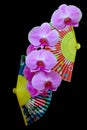 Beautiful pink phalaenopsis blume orchids branch and colorful designs of oriental folding fans on blackbackground