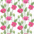 Beautiful pink poppy flowers seamless pattern. Royalty Free Stock Photo