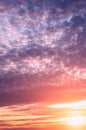 Beautiful pink and purple cirrus clouds and sunset sun Royalty Free Stock Photo