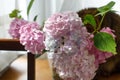 Beautiful pink and purple hydrangea flowers in sunny light on wooden rustic window sill. Summer tender blooming. Pastel petals in Royalty Free Stock Photo