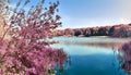 Beautiful pink and purple infrared panorama of a european countryside landscape with a blue sky