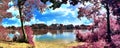 Beautiful pink and purple infrared panorama of a european countryside landscape with a blue sky