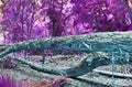 Beautiful pink and purple infrared shots of tropical palm trees on the Seychelles Royalty Free Stock Photo