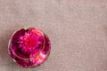 Beautiful pink and purple mums in a vase with a top down perspective