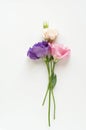 Beautiful pink, purple and white eustoma flower lisianthus in full bloom with green leaves. Bouquet of flowers on white Royalty Free Stock Photo