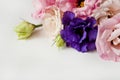 Beautiful pink, purple and white eustoma flower lisianthus in full bloom with green leaves. Bouquet of flowers on white Royalty Free Stock Photo