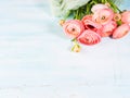 Beautiful pink ranunculus bouquet on turquoise Royalty Free Stock Photo