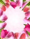 Beautiful Pink Realistic Tulip Frame Vector