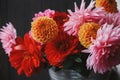 Beautiful pink and red dahlias and asters flowers in metal bucket on on dark background. Autumn season in countryside. Autumn Royalty Free Stock Photo