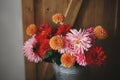 Beautiful pink and red dahlias and asters flowers in metal bucket on rustic wooden background. Autumn flowers bouquet. Fresh Royalty Free Stock Photo
