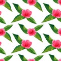 Beautiful pink red flower hibiscus with green tropical leaves. Seamless pattern. Hand drawn watercolor illustration Royalty Free Stock Photo