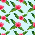 Beautiful pink red flower hibiscus with green tropical leaves. Seamless pattern. Hand drawn watercolor illustration Royalty Free Stock Photo