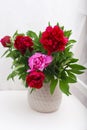 Beautiful Pink Red Peony Flowers Bouquet bunch Spring Composition in Ceramic Vase. Toned.