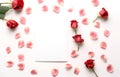 Beautiful pink red rose and petals stalk scattered isolated with note card on white background Royalty Free Stock Photo