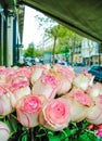 Beautiful pink and red roses flowers at a parisian flower store Royalty Free Stock Photo