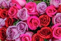 Beautiful pink and red roses flowers at a parisian flower store Royalty Free Stock Photo