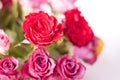 Beautiful pink andred roses in a basket. Royalty Free Stock Photo