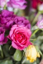 Beautiful pink andred roses in a basket.