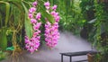 Beautiful Pink Rhynchostylis Gigantea orchid flowers are blooming in botanical garden Royalty Free Stock Photo