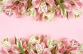 Beautiful pink rose and alstroemeria flowers on coral paper