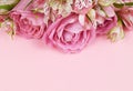 Beautiful pink rose and alstroemeria flowers in a top border on coral paper Royalty Free Stock Photo